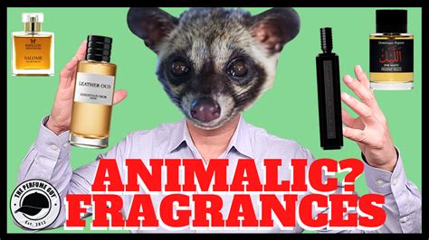 what is an animalic scent.